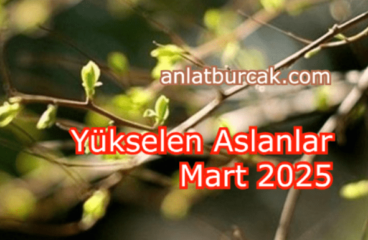 Yükselen Aslanlar Mart 2025