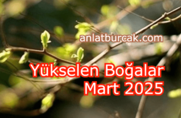 Yükselen Boğalar Mart 2025