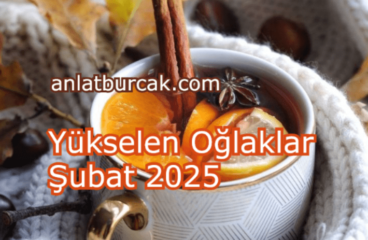 Yükselen Oğlaklar Şubat 2025