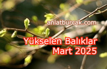 Yükselen Balıklar Mart 2025