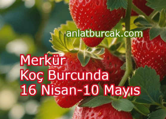 Merkür Koç Burcunda 16 Nisan-10 Mayıs 2025