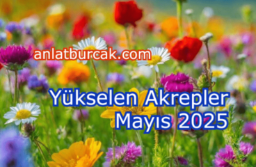 Yükselen Akrepler Mayıs 2025