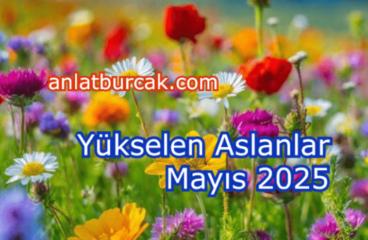 Yükselen Aslanlar Mayıs 2025