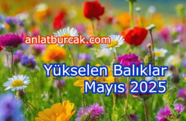 Yükselen Balıklar Mayıs 2025