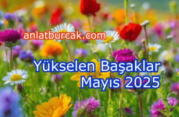 Yükselen Başaklar Mayıs 2025