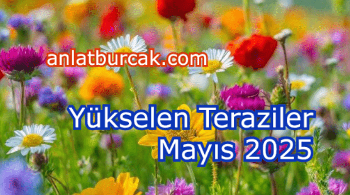 Yükselen Teraziler Mayıs 2025