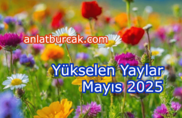 Yükselen Yaylar Mayıs 2025