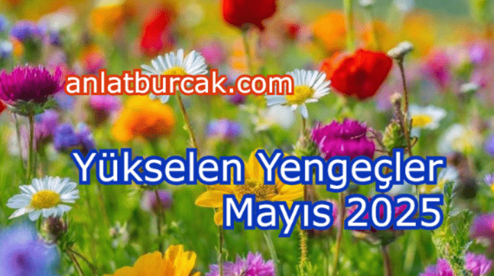 Yükselen Yengeçler Mayıs 2025