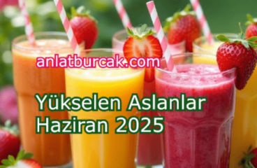 Yükselen Aslanlar Haziran 2025