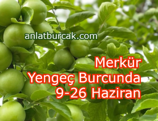Merkür Yengeç Burcunda 9-26 Haziran 2025