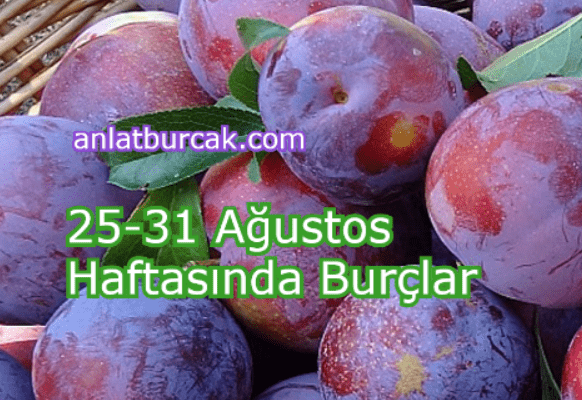 25-31 Ağustos 2025 Haftasında Burçlar