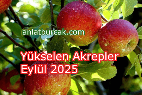 Yükselen Akrepler Eylül 2025