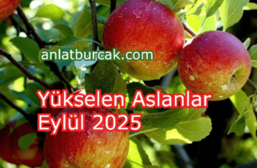 Yükselen Aslanlar Eylül 2025