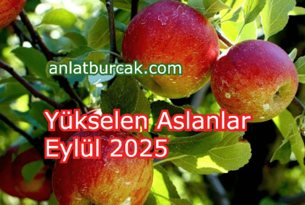 Yükselen Aslanlar Eylül 2025