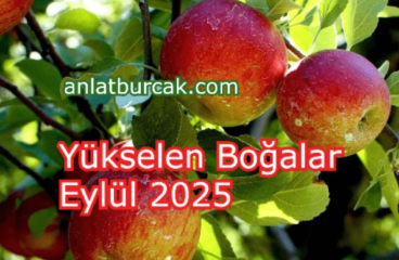 Yükselen Boğalar Eylül 2025