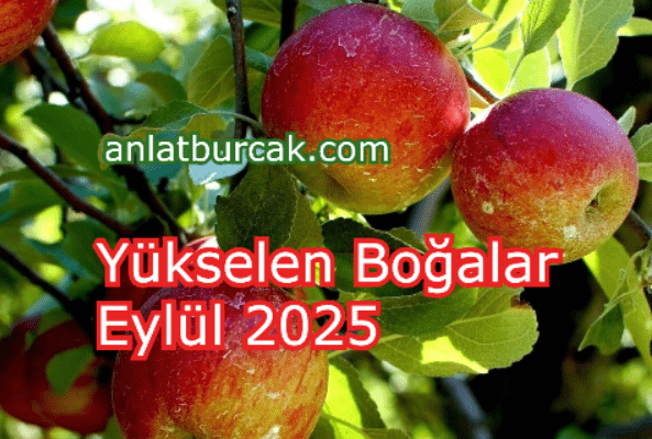 Yükselen Boğalar Eylül 2025