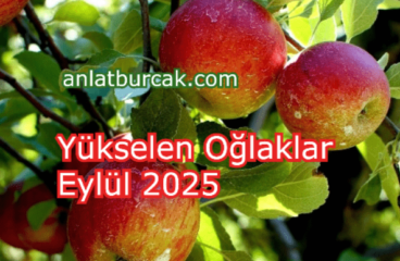 Yükselen Oğlaklar Eylül 2025