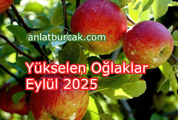 Yükselen Oğlaklar Eylül 2025