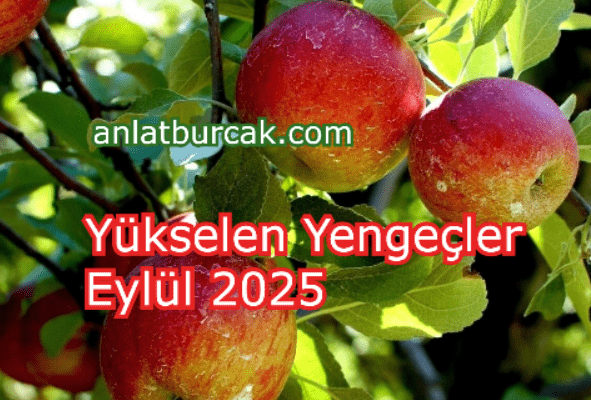 Yükselen Yengeçler Eylül 2025