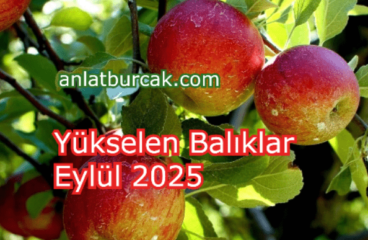 Yükselen Balıklar Eylül 2025