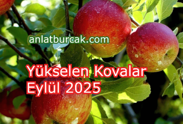 Yükselen Kovalar Eylül 2025