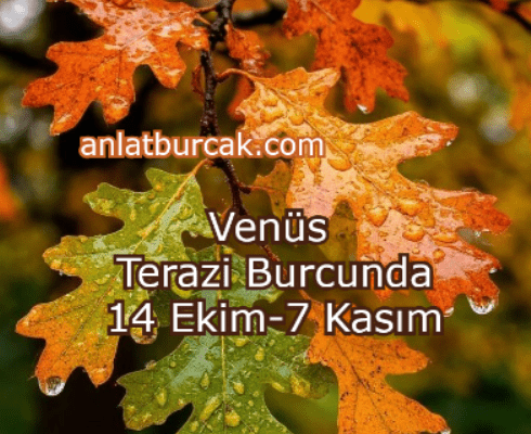 Venüs Terazi Burcunda 14 Ekim-7 Kasım 2025