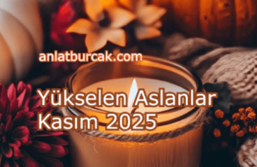 Yükselen Aslanlar Kasım 2025