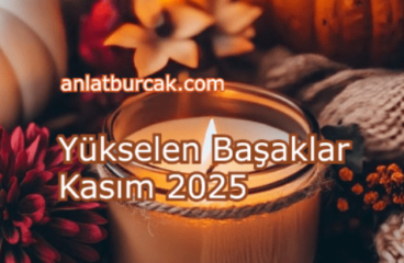 Yükselen Başaklar Kasım 2025