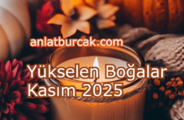 Yükselen Boğalar Kasım 2025
