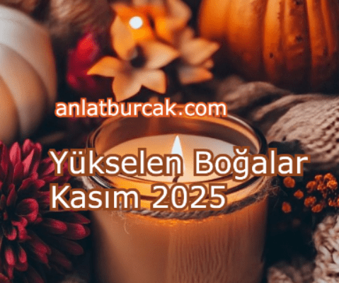 Yükselen Boğalar Kasım 2025