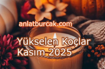 Yükselen Koçlar Kasım 2025