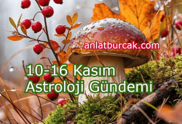 10-16 Kasım 2025 Astroloji Gündemi