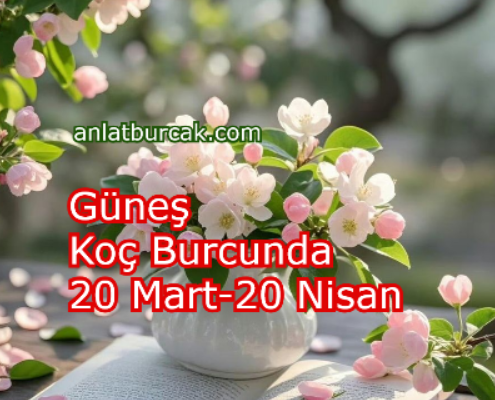 Güneş Koç Burcunda 20 Mart-20 Nisan 2026