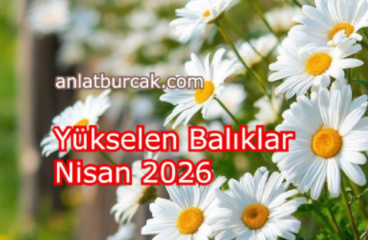 Yükselen Balıklar Nisan 2026