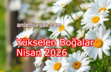 Yükselen Boğalar Nisan 2026