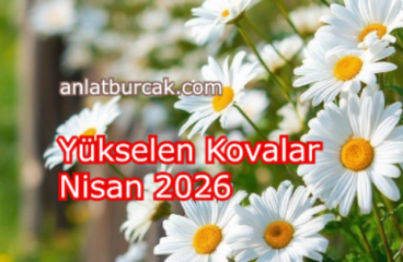 Yükselen Kovalar Nisan 2026
