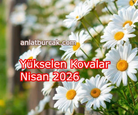 Yükselen Kovalar Nisan 2026