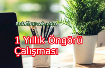 1 Yıllık Öngörü Çalışması