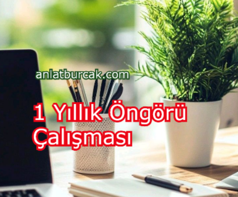 1 Yıllık Öngörü Çalışması