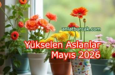 Yükselen Aslanlar Mayıs 2026