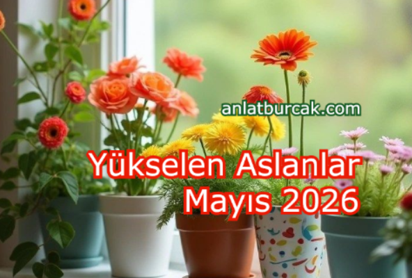 Yükselen Aslanlar Mayıs 2026