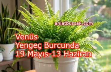 Venüs Yengeç Burcunda 19 Mayıs-13 Haziran 2026