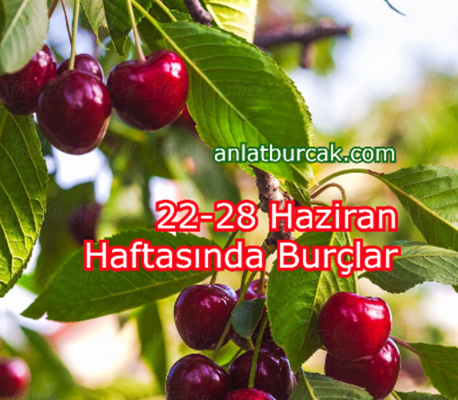 22-28 Haziran Haftasında Burçlar