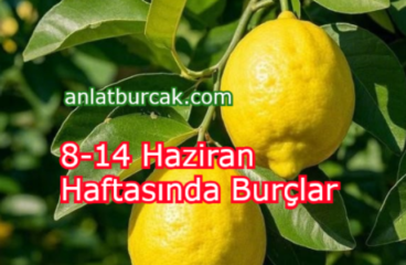 8-14 Haziran Haftasında Burçlar