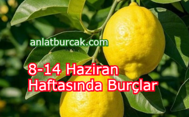 8-14 Haziran Haftasında Burçlar