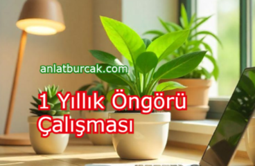 1 Yıllık Öngörü Çalışması