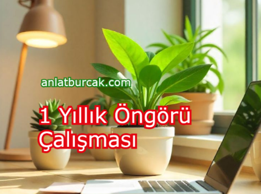 1 Yıllık Öngörü Çalışması