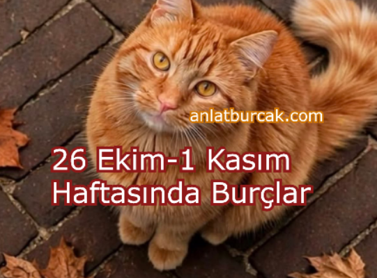 26 Ekim-1 Kasım Haftasında Burçlar