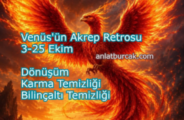 Venüs’ün Akrep Retrosunda Karma ve Bilinçaltı Temizliği