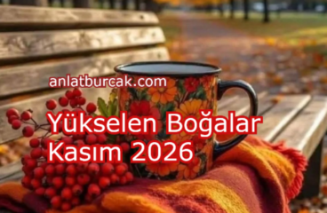 Yükselen Boğalar Kasım 2026
